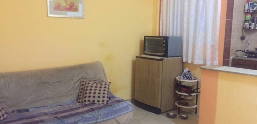 FULLY FURNISHED APARTMENT