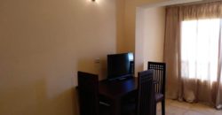 Fully furnished studio!