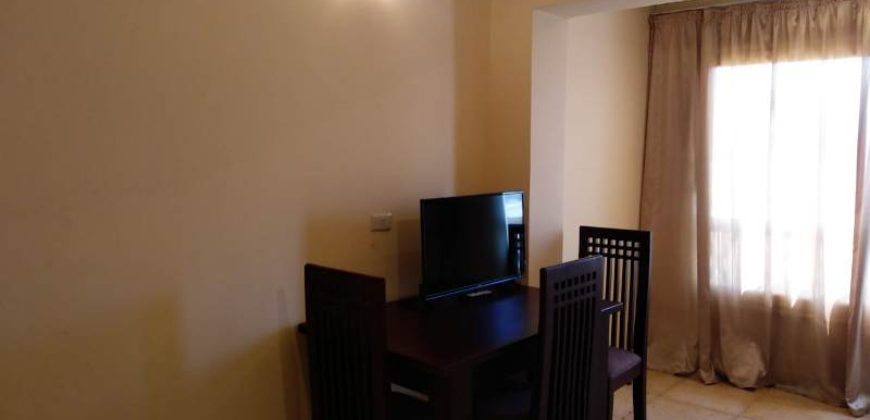 Fully furnished studio!