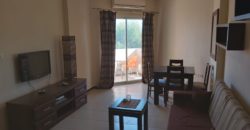 Furnished 1-bedroom apartment in the compound