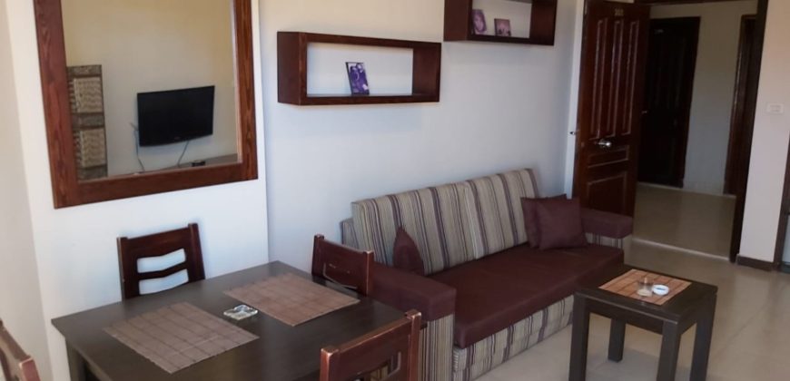 Furnished 1-bedroom apartment in the compound