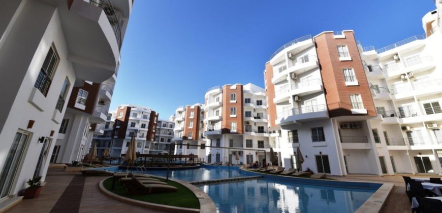 Furnished 1 bedroom apartment in Aqua Palms