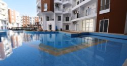 Furnished 1 bedroom apartment in Aqua Palms