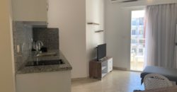 Furnished 1 bedroom apartment in Aqua Palms