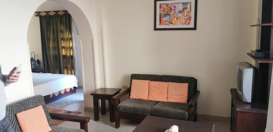 Furnished 1-bedroom apartment in Nubian style