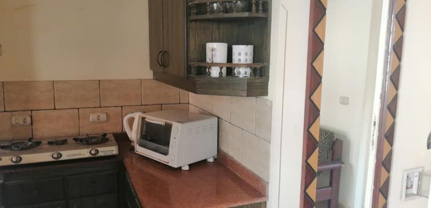 Furnished 1-bedroom apartment in Nubian style