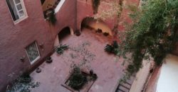 Furnished 1-bedroom apartment in Nubian style