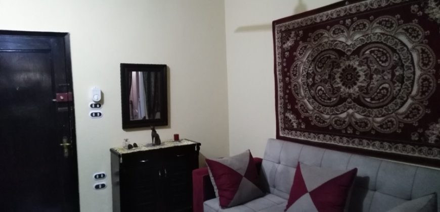 Furnished apartment