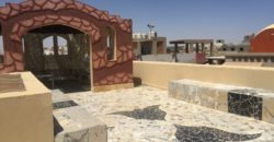 Cozy 1 bedroom apartment in the compound in Arabia area