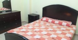 Furnished 1 bedroom apartment in El keyadat area