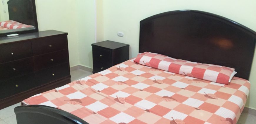 Furnished 1 bedroom apartment in El keyadat area