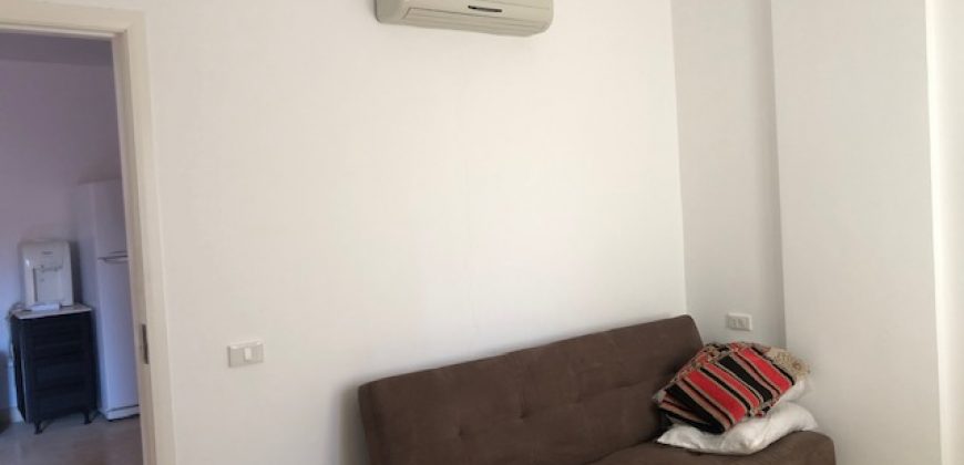 FURNISHED APARTMENT