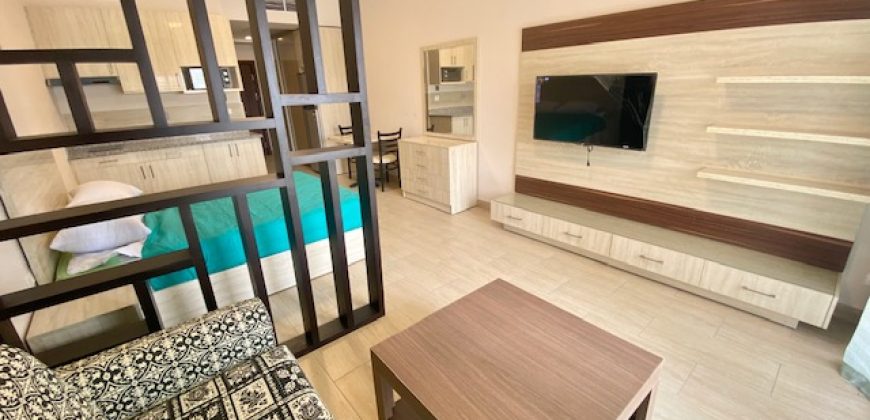 STYLISH STUDIO WITH POOL VIEW