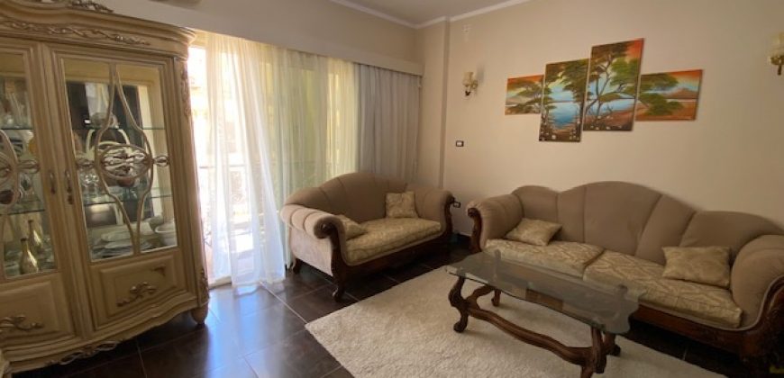 LARGE FURNISHED APARTMENT