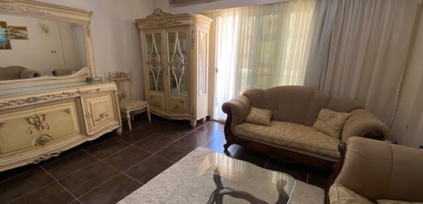 LARGE FURNISHED APARTMENT