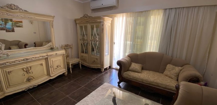 LARGE FURNISHED APARTMENT