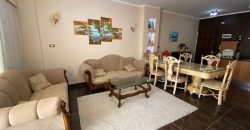 LARGE FURNISHED APARTMENT