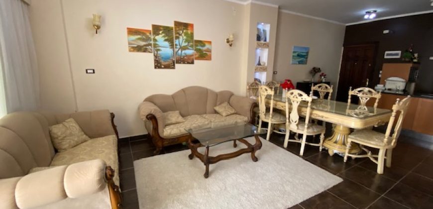 LARGE FURNISHED APARTMENT