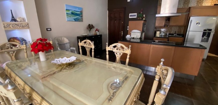 LARGE FURNISHED APARTMENT