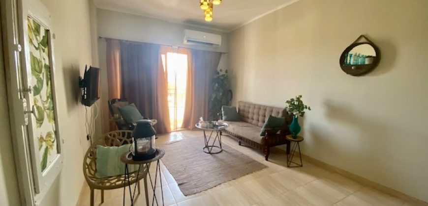 LARGE FURNISHED STUDIO