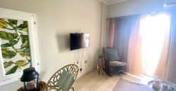 LARGE FURNISHED STUDIO