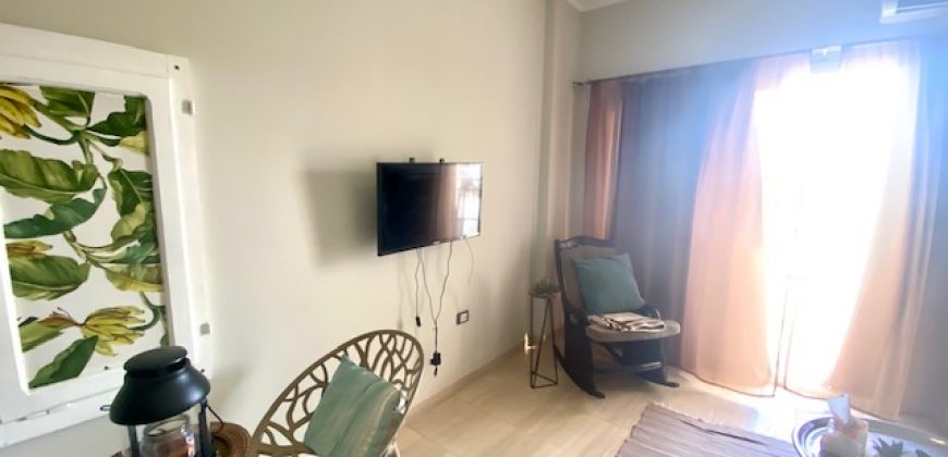 LARGE FURNISHED STUDIO