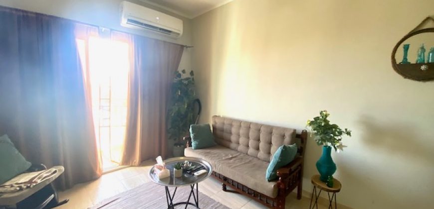 LARGE FURNISHED STUDIO