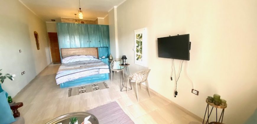 LARGE FURNISHED STUDIO