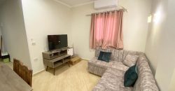 FULLY FURNISHED APARTMENTS