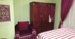 Fully furnished apartment in 3 minuets walk from Sheraton street