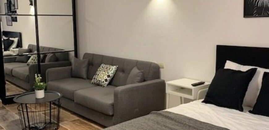 Стильная современная студия в аренду в жилом комплексе