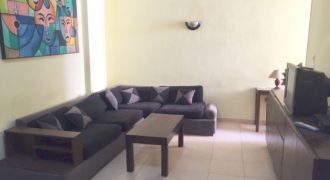 Furnished 1 bedroom apartment in El keyadat area