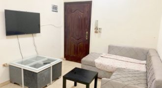 Fully furnished apartment