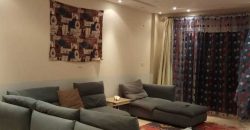 Fully furnished apartment