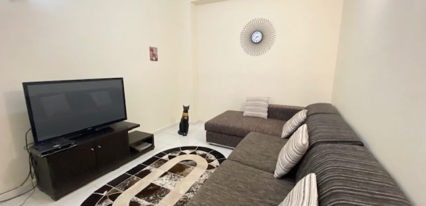 FURNISHED APARTMENT