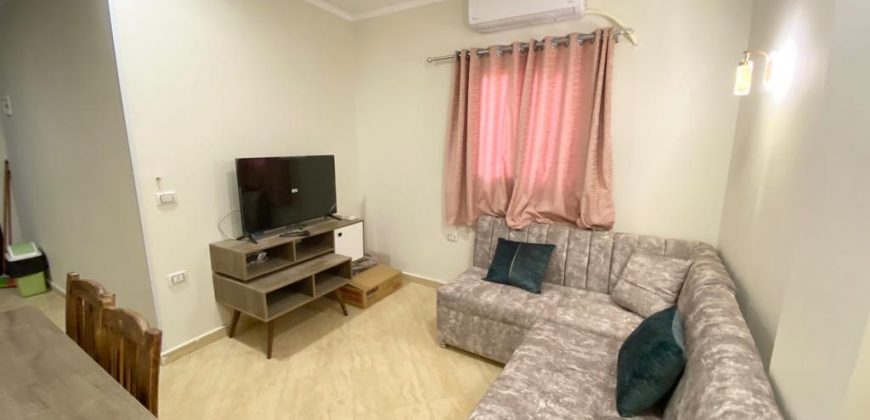 FULLY FURNISHED APARTMENTS