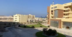 OWN apartment with Sandy Beach & Coral Reef in Hurghada!