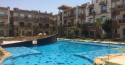 JUNGLE HURGHADA COMPOUND! УНИКАЛЬНЫЙ ПРОЕКТ В РАЙОНЕ МАГАВИШ!