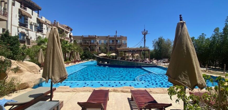 JUNGLE HURGHADA COMPOUND AREA OF MAGAWISH!