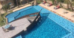 JUNGLE HURGHADA COMPOUND AREA OF MAGAWISH!