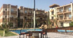 JUNGLE HURGHADA COMPOUND AREA OF MAGAWISH!